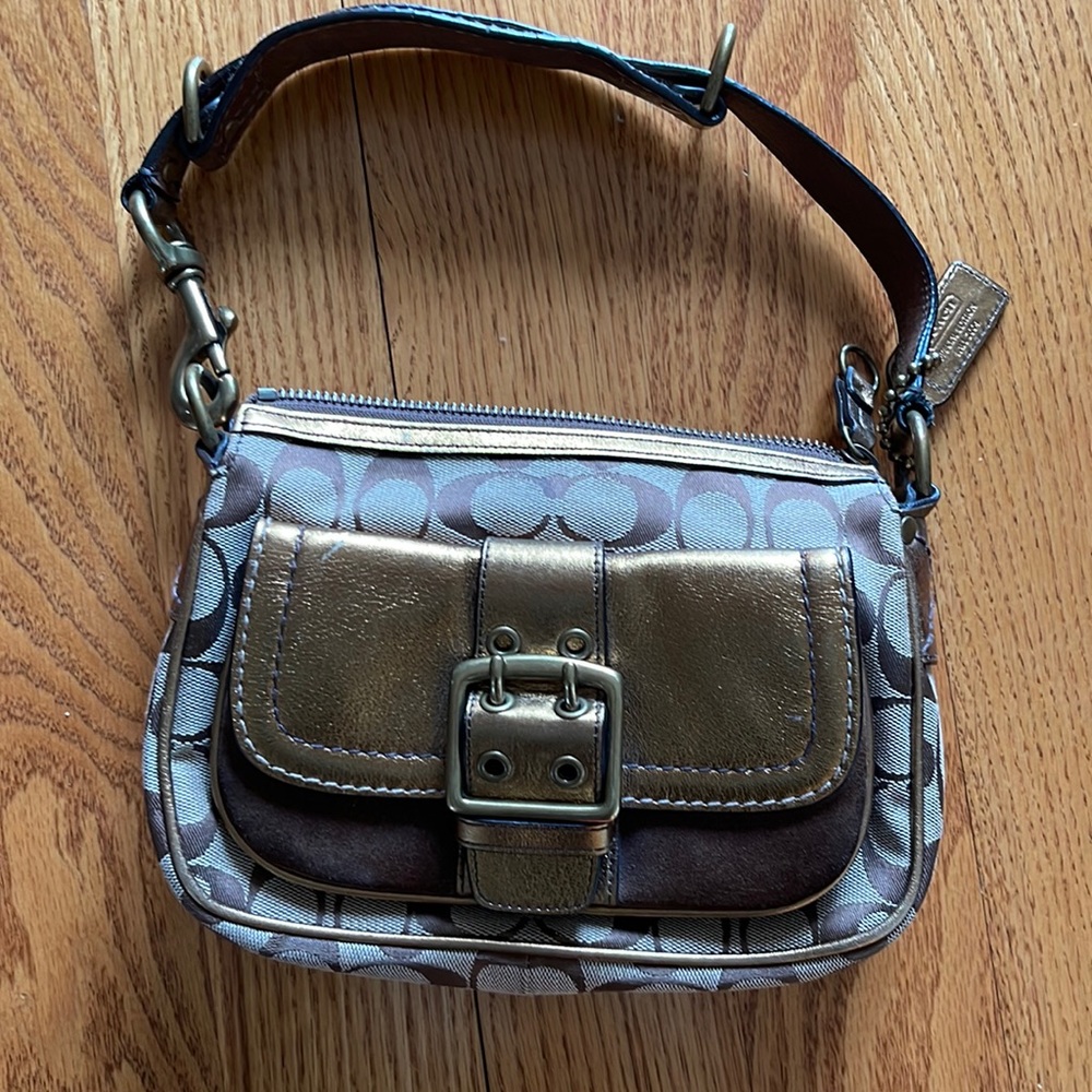 Coach Bag-copper and brown color